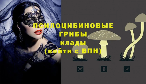 амф Рославль