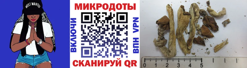 как найти наркотики  Заволжск  Галлюциногенные грибы ЛСД 
